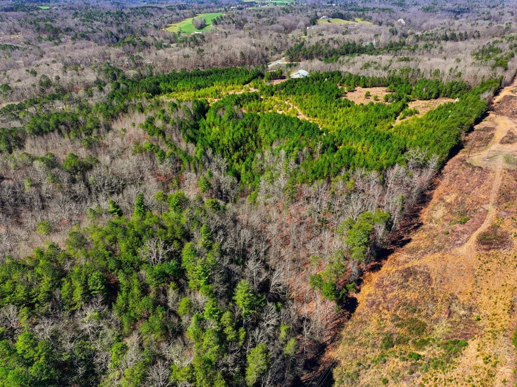 174 Power Sports Drive, Ellijay GA 30540 - Photo
