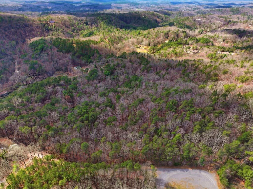 64 Bull Gap Road, Talking Rock GA 30175 - Photo