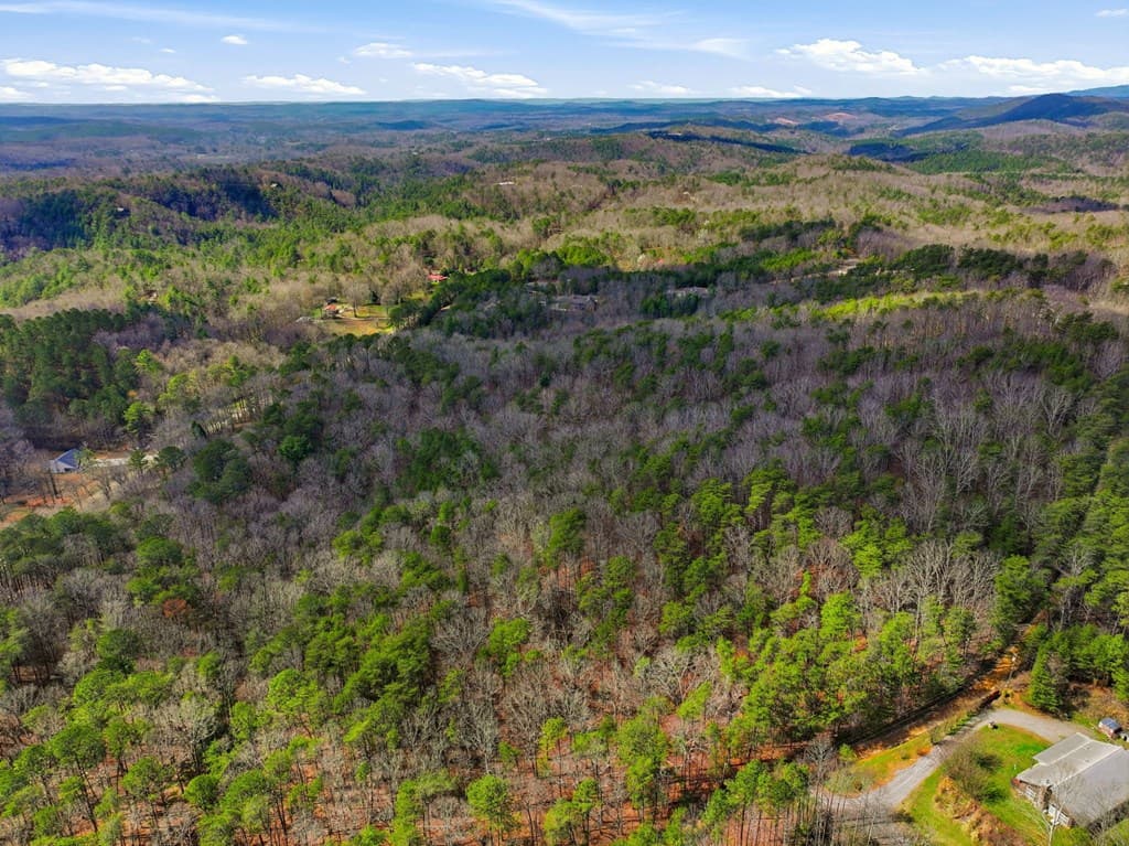 64 Bull Gap Road, Talking Rock GA 30175 - Photo