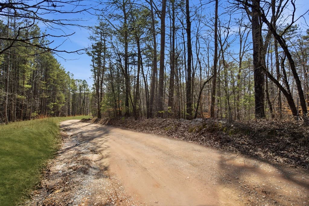 64 Bull Gap Road, Talking Rock GA 30175 - Photo