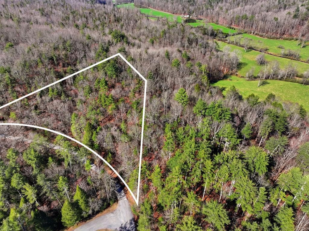 Lot 24 Pickett Mill Lane, Ellijay GA 30540 - Photo