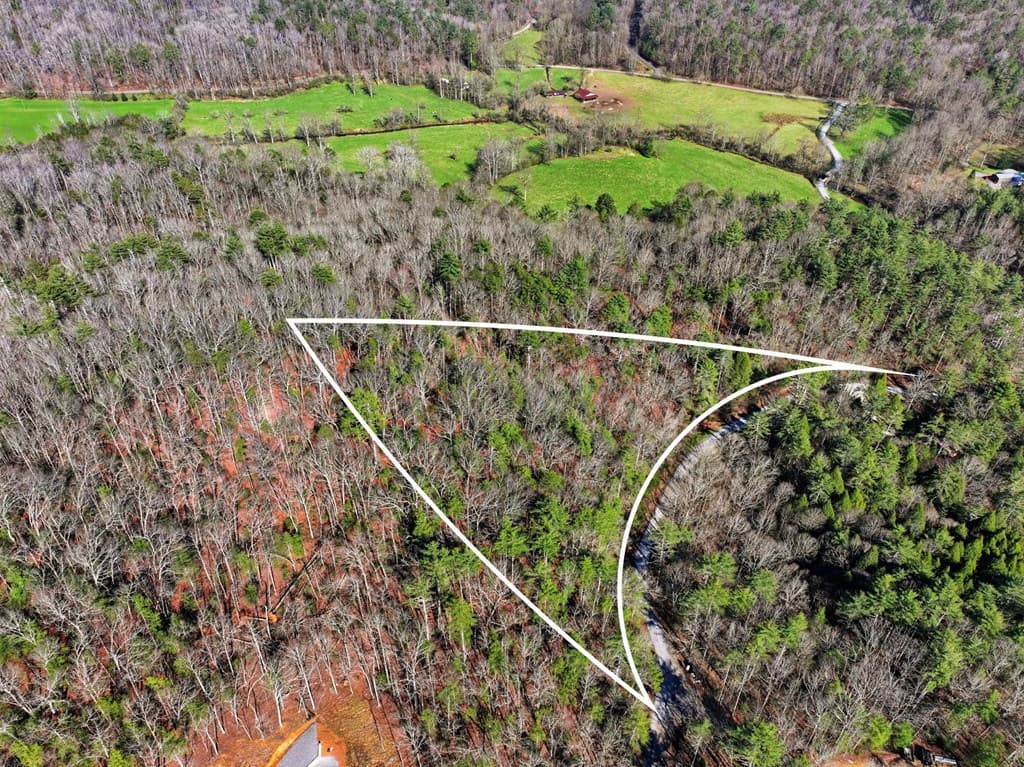 Lot 24 Pickett Mill Lane, Ellijay GA 30540 - Photo