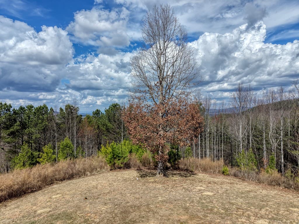 Lot 72 Summit Trace, Blairsville GA 30512 - Photo