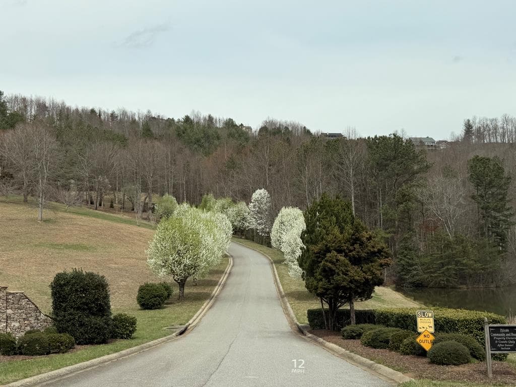 Lot 72 Summit Trace, Blairsville GA 30512 - Photo