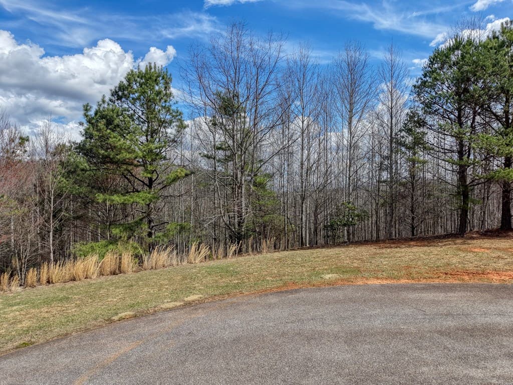 Lot 72 Summit Trace, Blairsville GA 30512 - Photo