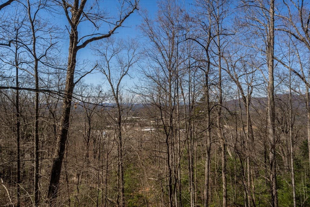 257 Aj's Holler, Blairsville GA 30512 - Photo