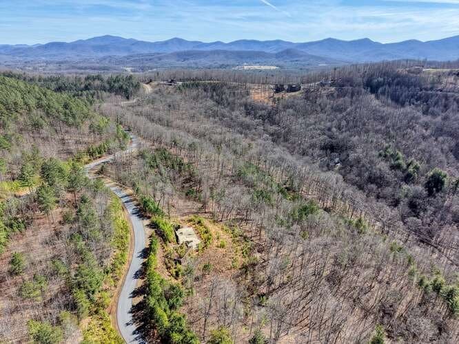 Lot 364 Thirteen Hundred, Blairsville GA 30512 - Photo