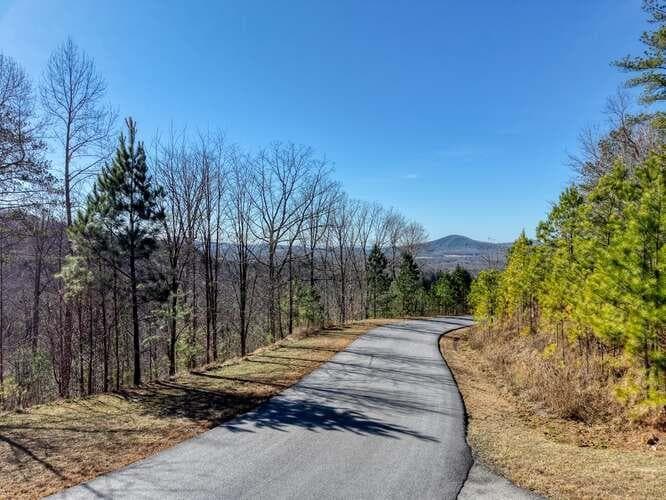 Lot 364 Thirteen Hundred, Blairsville GA 30512 - Photo