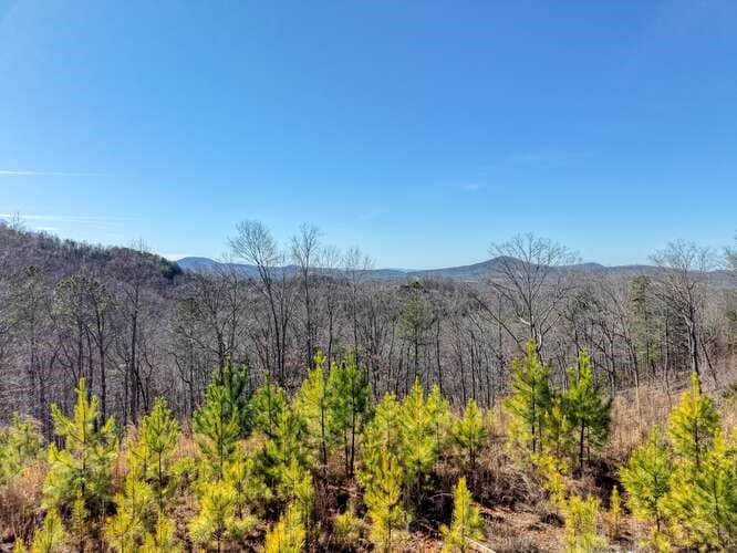 Lot 364 Thirteen Hundred, Blairsville GA 30512 - Photo