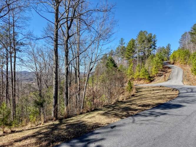 Lot 364 Thirteen Hundred, Blairsville GA 30512 - Photo