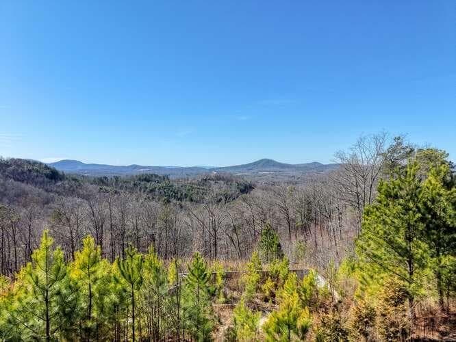 Lot 364 Thirteen Hundred, Blairsville GA 30512 - Primary photo