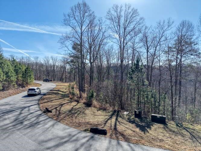 Lot 364 Thirteen Hundred, Blairsville GA 30512 - Photo