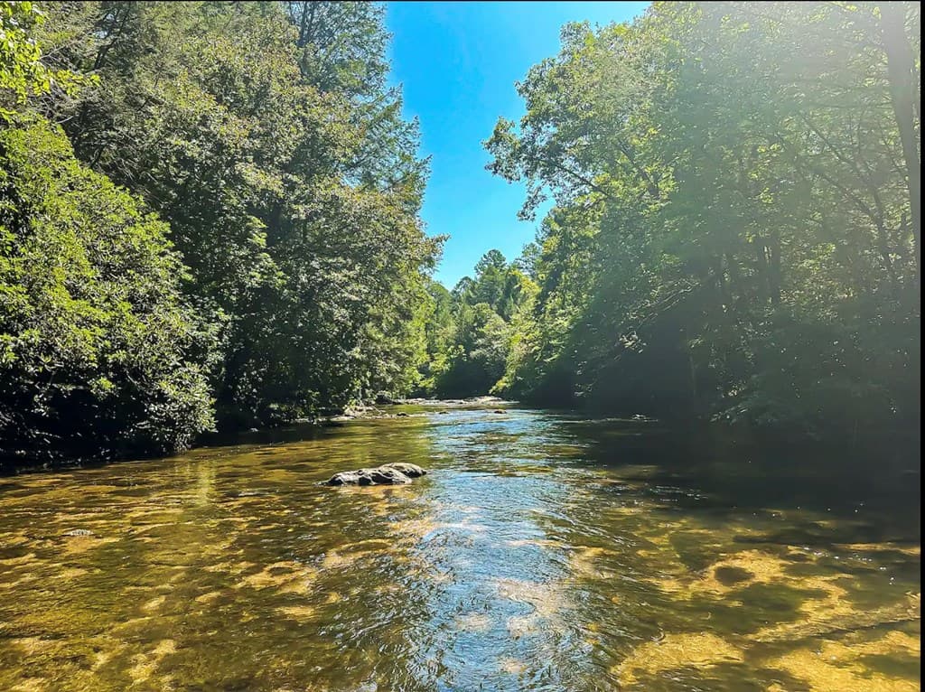 252 Branch Creek Road, Mccaysville GA 30555 - Photo