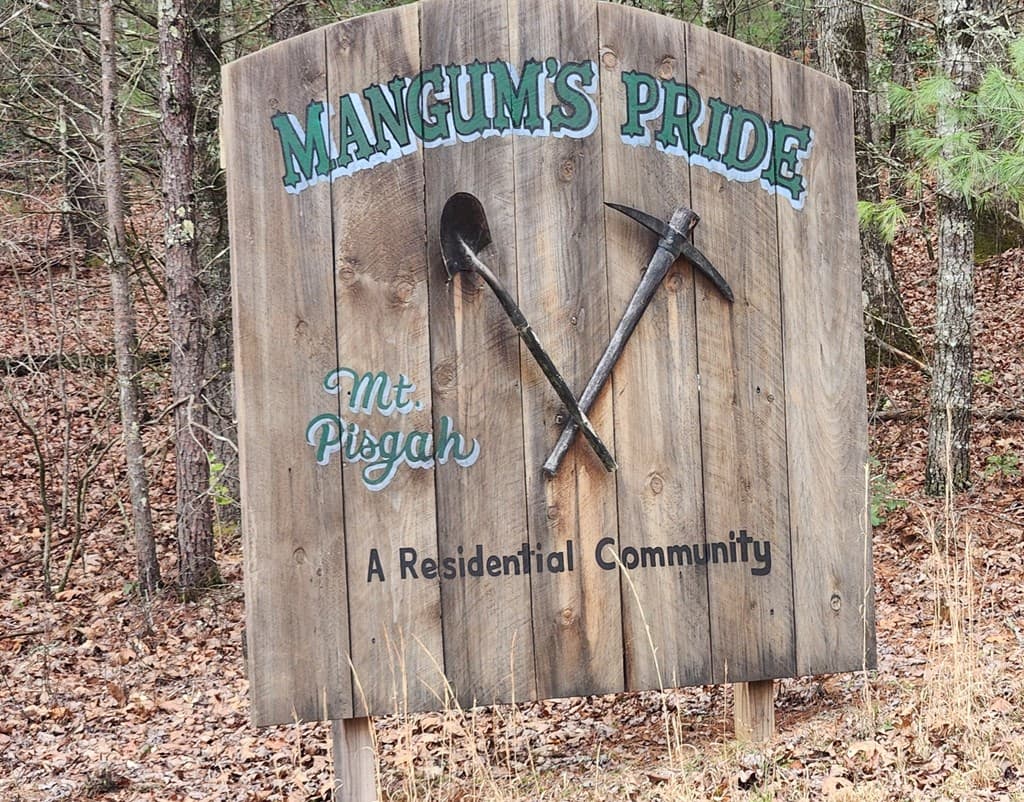 Lot 13 Mangums Pride, Blue Ridge GA 30513 - Photo
