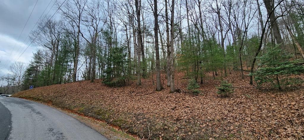 Lot 13 Mangums Pride, Blue Ridge GA 30513 - Primary photo