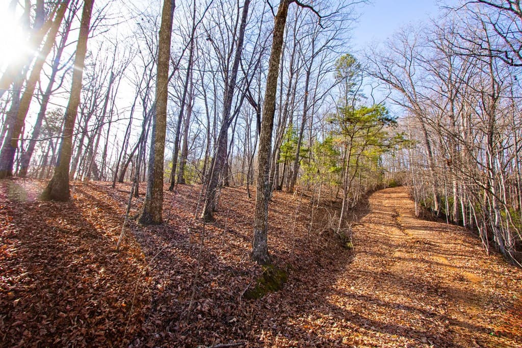 TBD W Hills Drive, Murphy NC 28906 - Photo