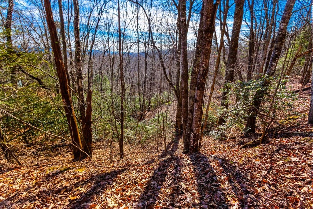 TBD W Hills Drive, Murphy NC 28906 - Photo