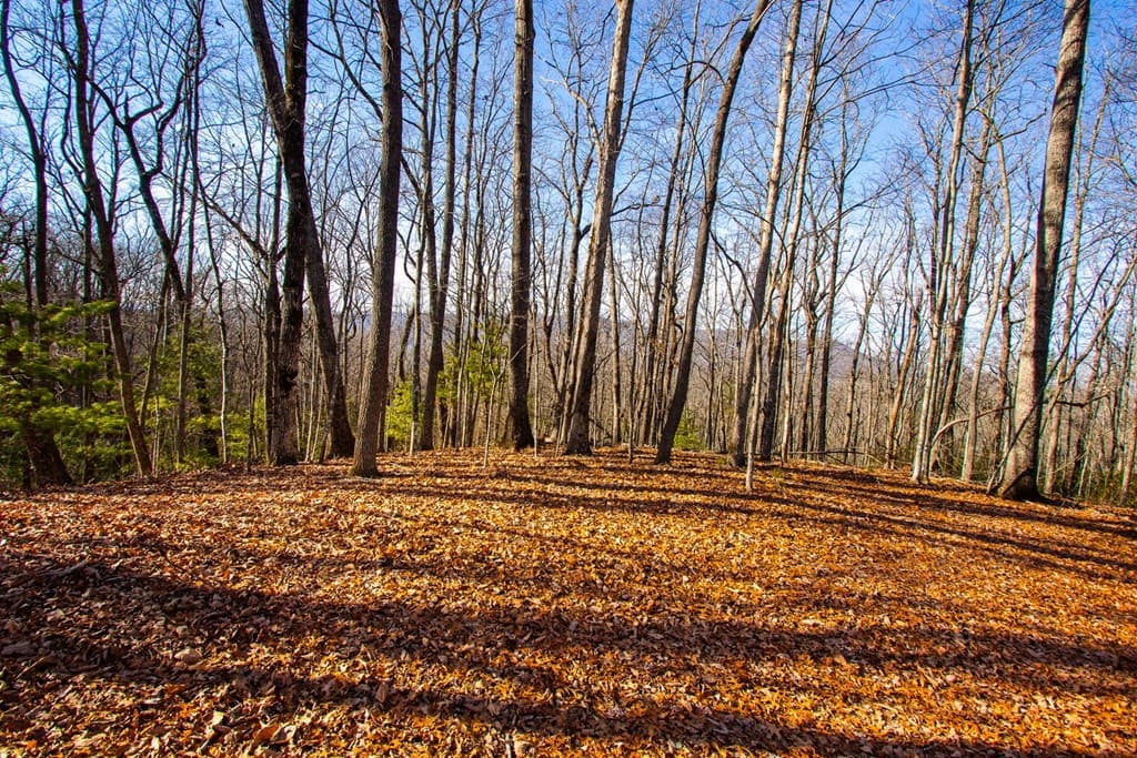 TBD W Hills Drive, Murphy NC 28906 - Photo