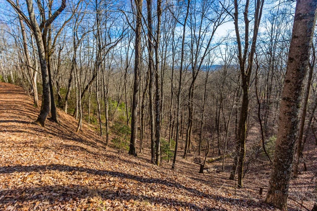 TBD W Hills Drive, Murphy NC 28906 - Photo