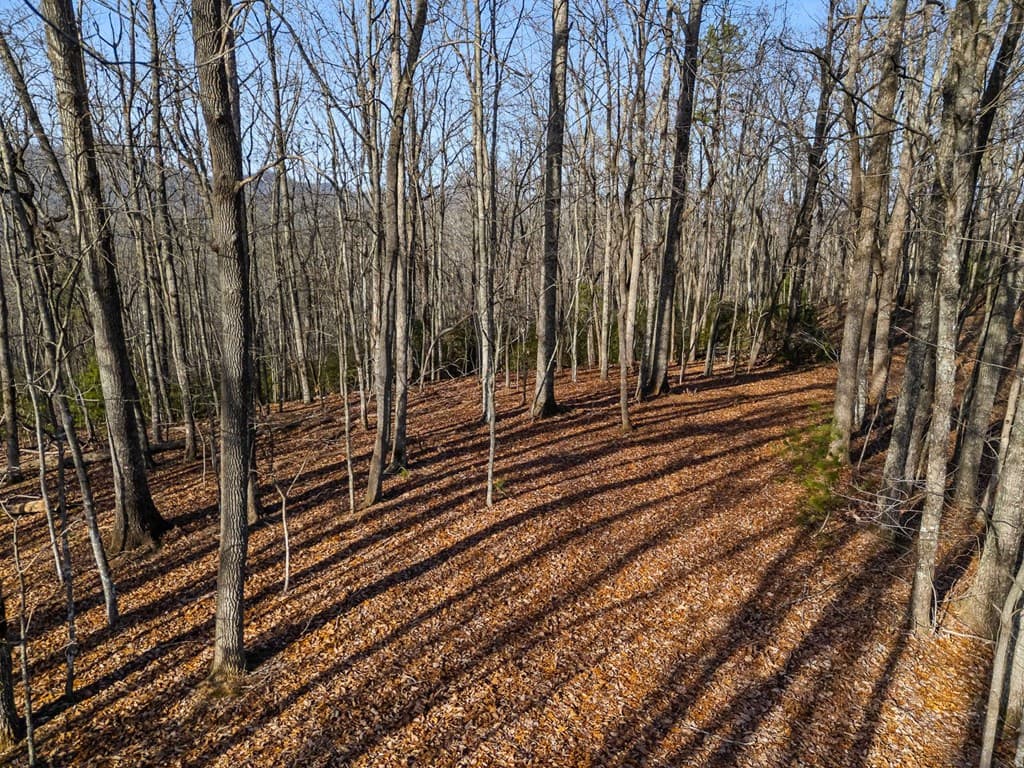 TBD W Hills Drive, Murphy NC 28906 - Photo