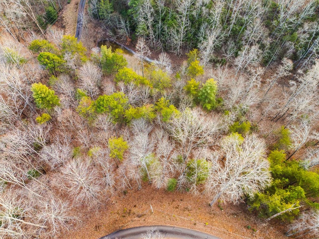TBD W Hills Drive, Murphy NC 28906 - Photo