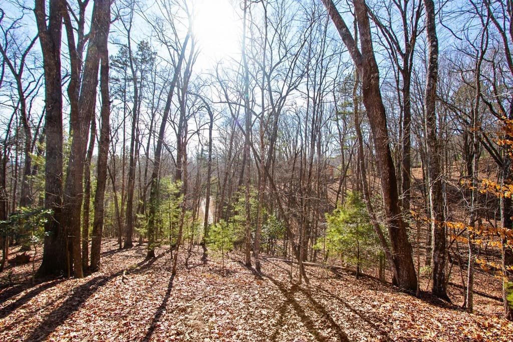 TBD W Hills Drive, Murphy NC 28906 - Photo