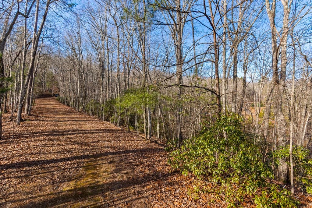 TBD W Hills Drive, Murphy NC 28906 - Photo