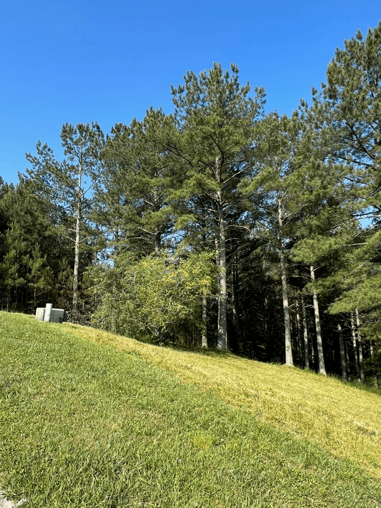 Lot 54 Pinehurst Road, Blairsville GA 30512 - Photo