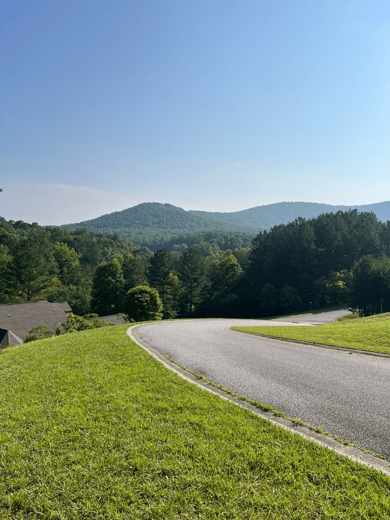 Lot 54 Pinehurst Road, Blairsville GA 30512 - Photo