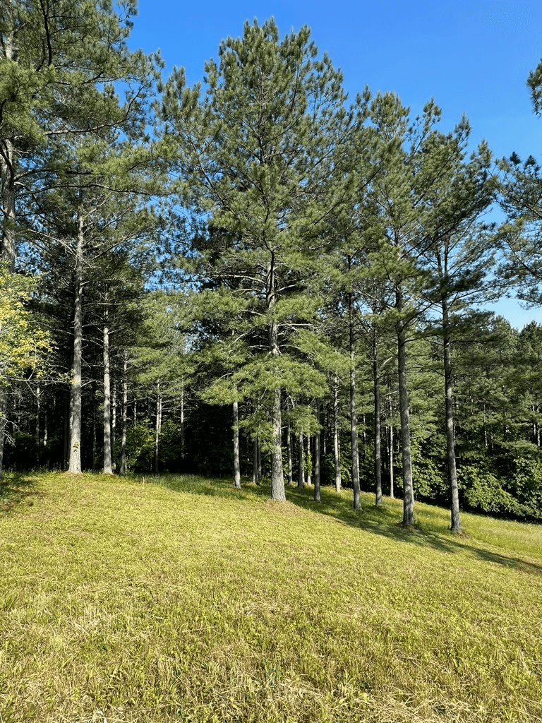 Lot 54 Pinehurst Road, Blairsville GA 30512 - Photo