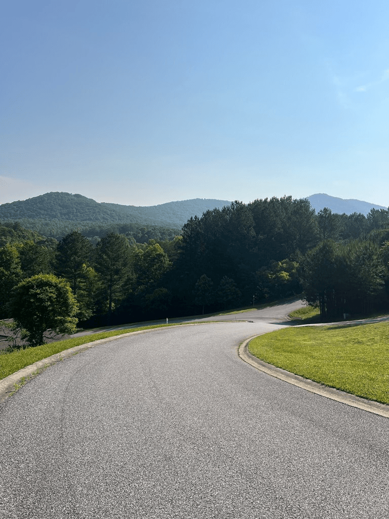Lot 54 Pinehurst Road, Blairsville GA 30512 - Photo