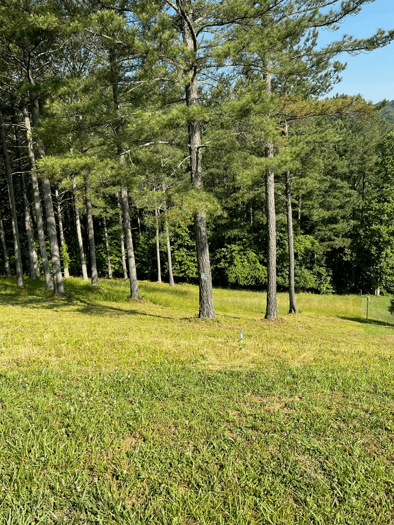 Lot 54 Pinehurst Road, Blairsville GA 30512 - Photo