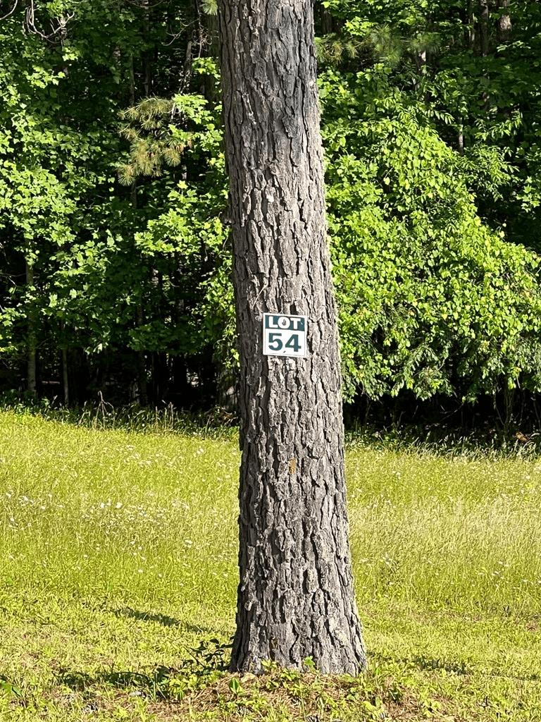 Lot 54 Pinehurst Road, Blairsville GA 30512 - Photo