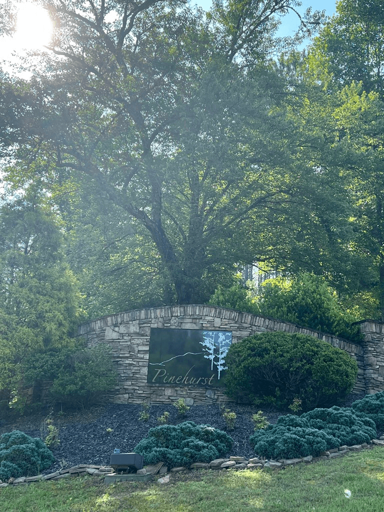 Lot 54 Pinehurst Road, Blairsville GA 30512 - Photo