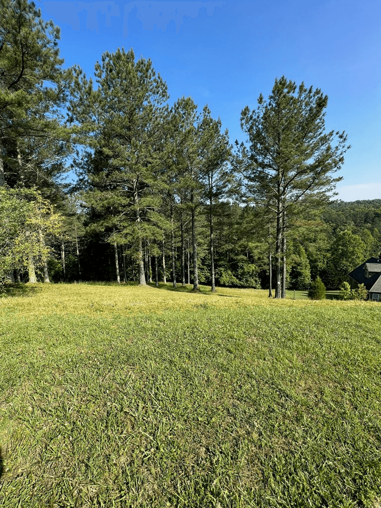 Lot 54 Pinehurst Road, Blairsville GA 30512 - Photo