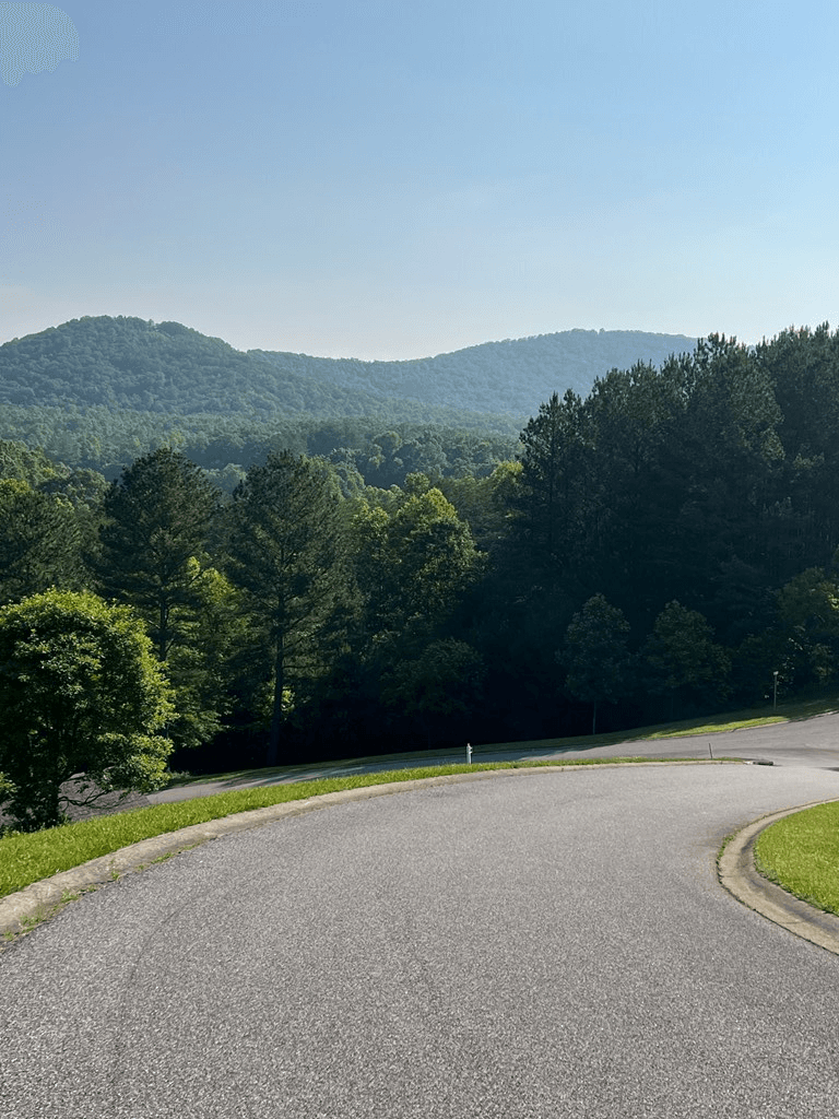 Lot 54 Pinehurst Road, Blairsville GA 30512 - Photo