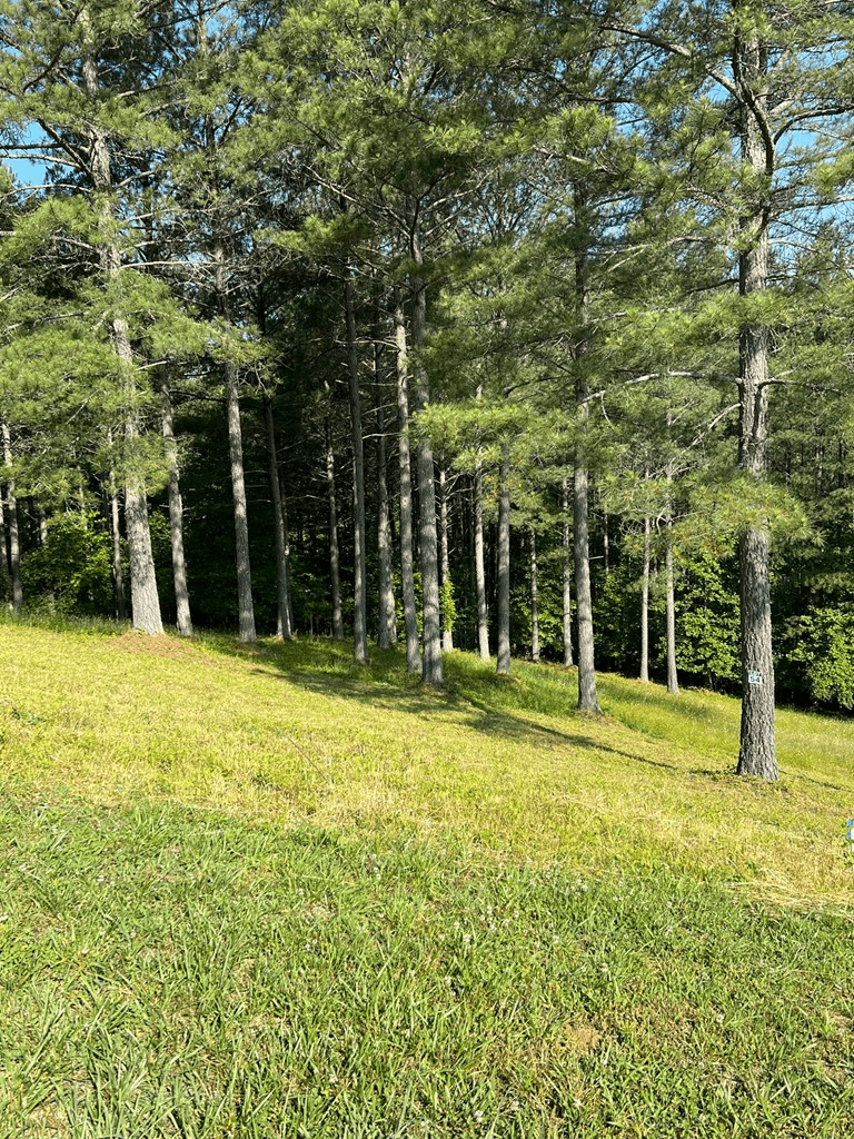 Lot 54 Pinehurst Road, Blairsville GA 30512 - Photo