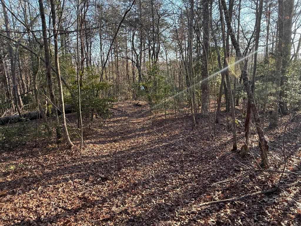 Lot 4 Willow Ridge, Warne NC 28909 - Photo