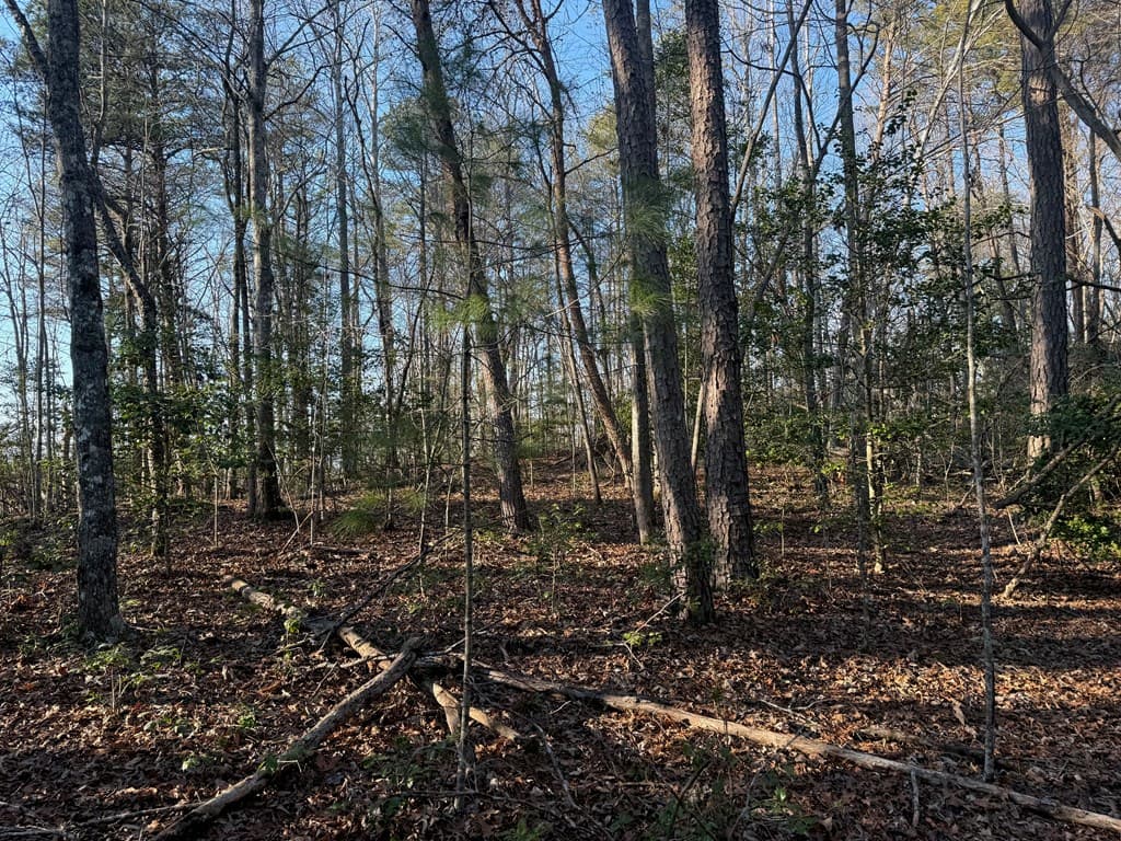 Lot 4 Willow Ridge, Warne NC 28909 - Photo