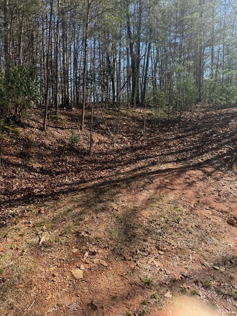 Lot 4 Willow Ridge, Warne NC 28909 - Photo