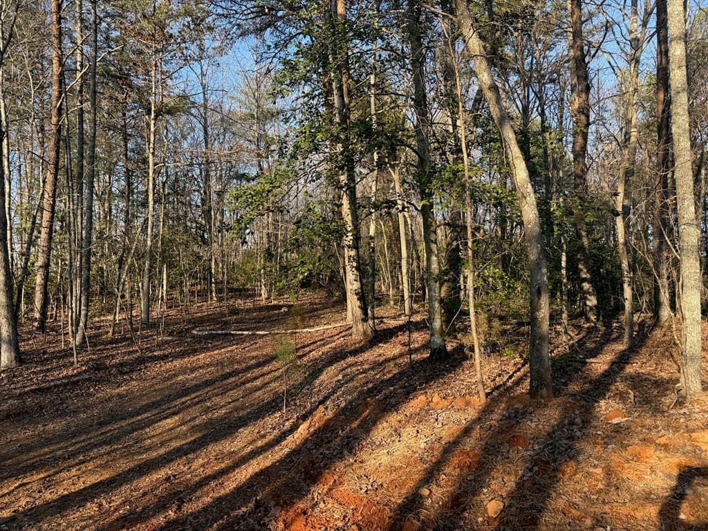 Lot 4 Willow Ridge, Warne NC 28909 - Photo