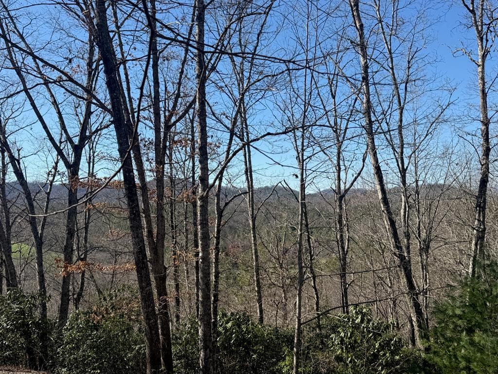 Lot 4 Willow Ridge, Warne NC 28909 - Photo