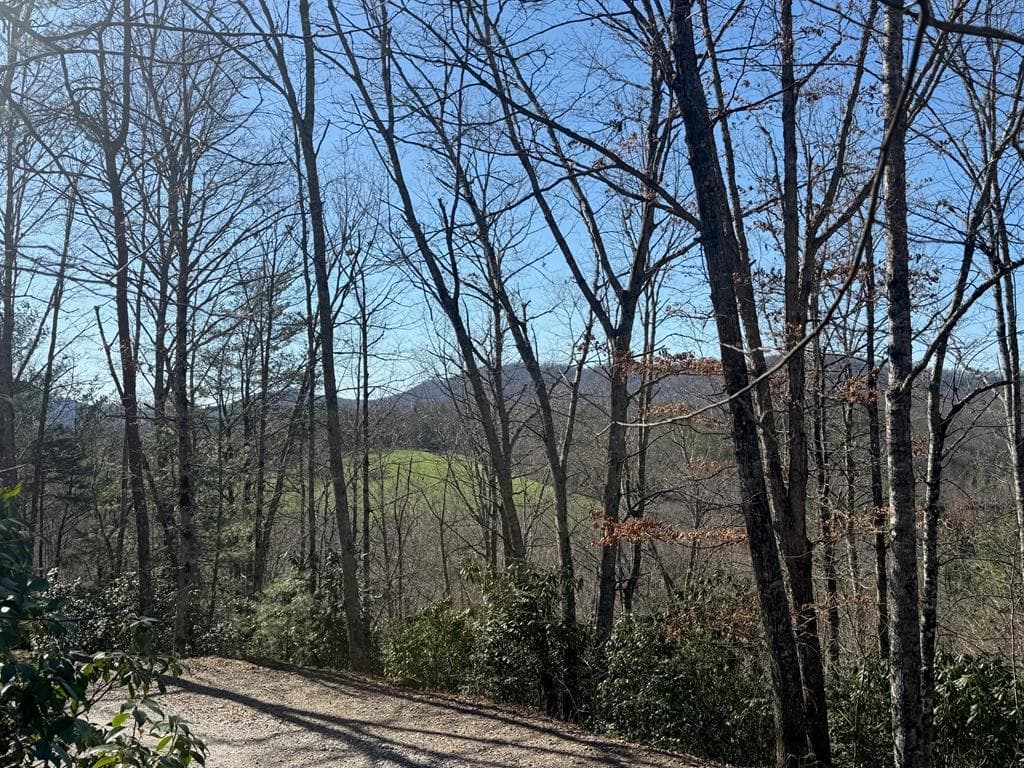Lot 4 Willow Ridge, Warne NC 28909 - Primary photo