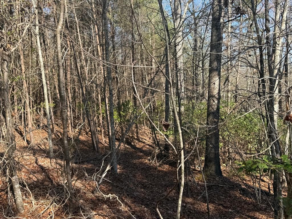 Lot 4 Willow Ridge, Warne NC 28909 - Photo