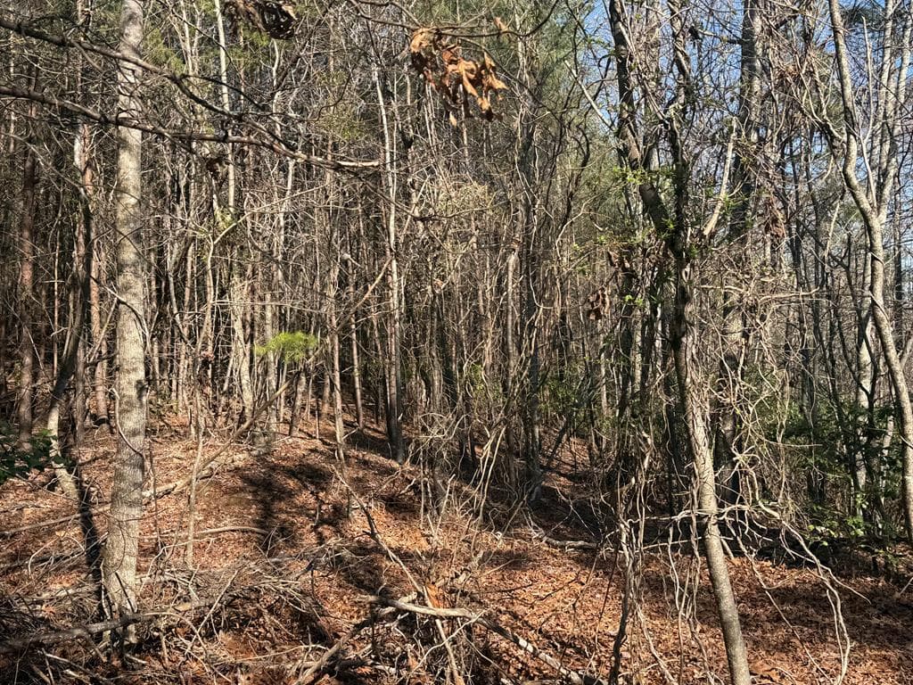 Lot 4 Willow Ridge, Warne NC 28909 - Photo