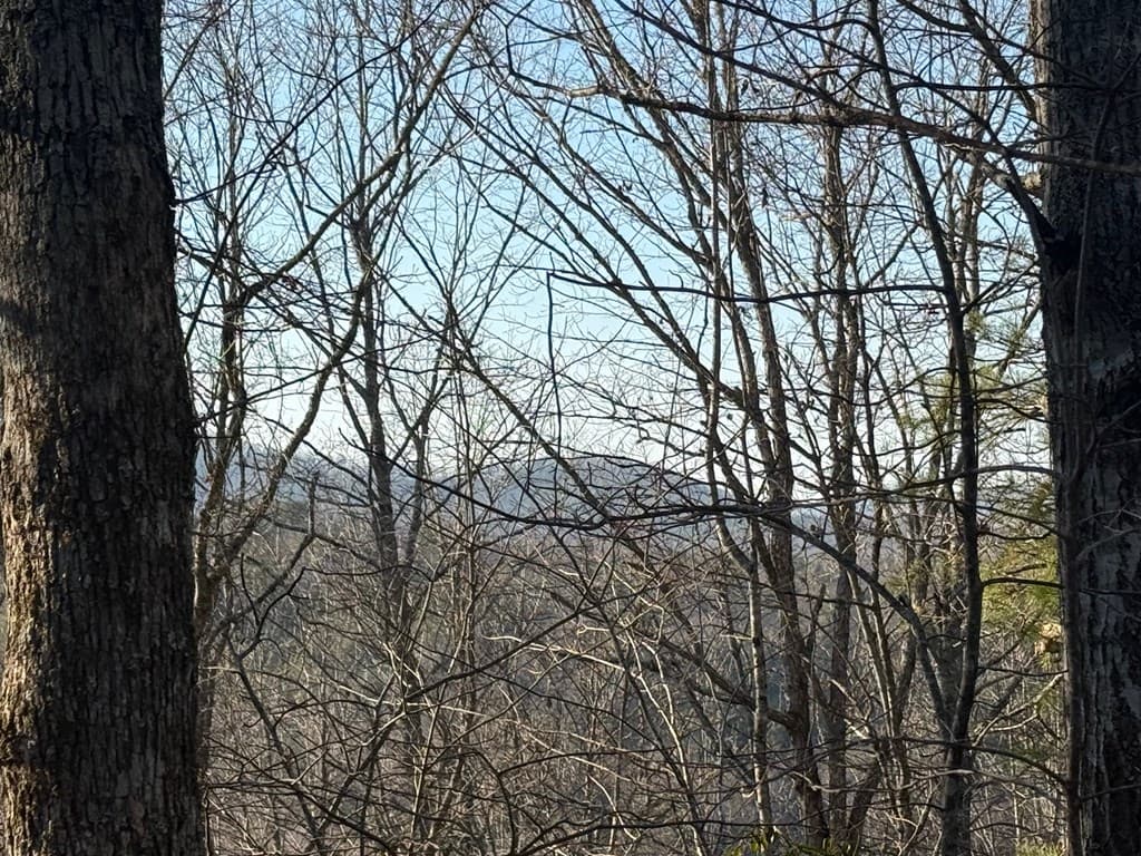 Lot 4 Willow Ridge, Warne NC 28909 - Photo
