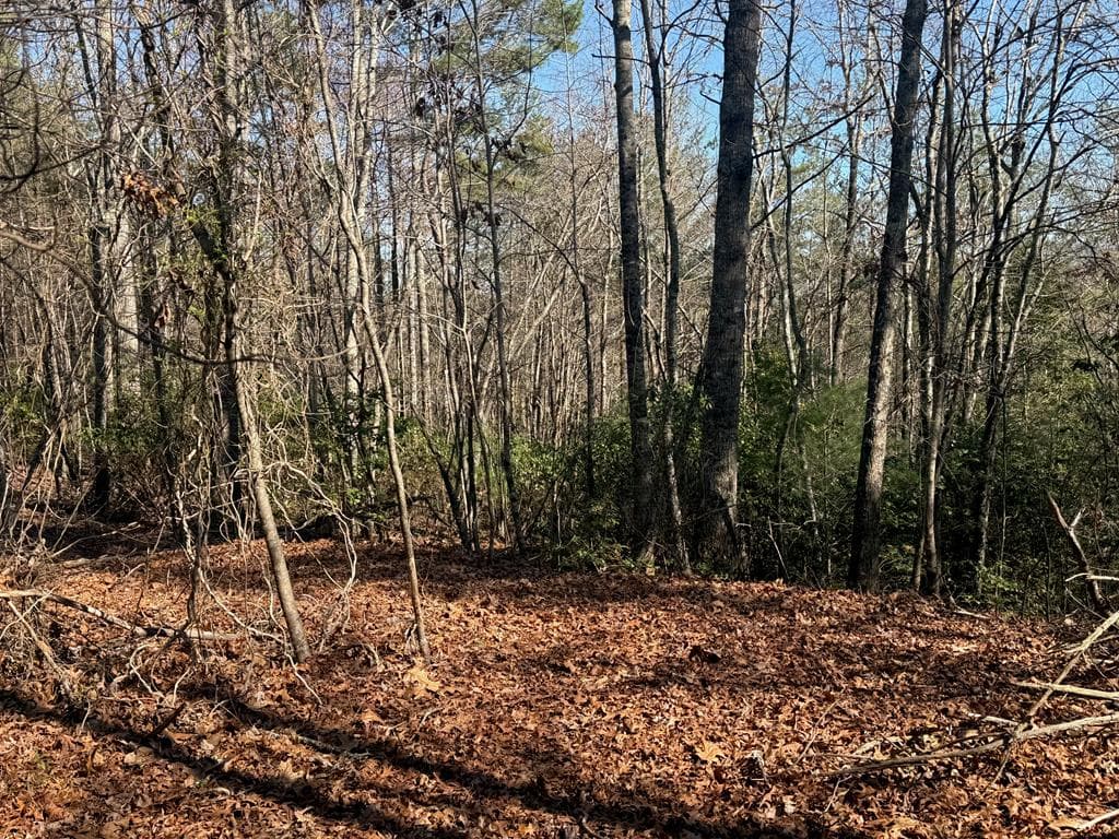 Lot 4 Willow Ridge, Warne NC 28909 - Photo
