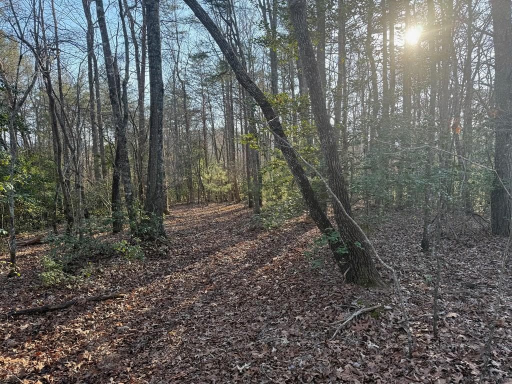 Lot 4 Willow Ridge, Warne NC 28909 - Photo