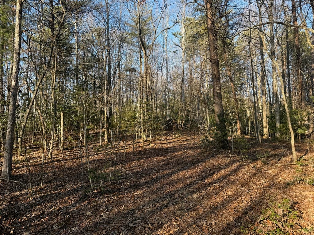 Lot 4 Willow Ridge, Warne NC 28909 - Photo