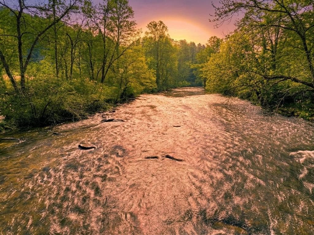 373 Wib Kendall Road, Blue Ridge GA 30513 - Photo